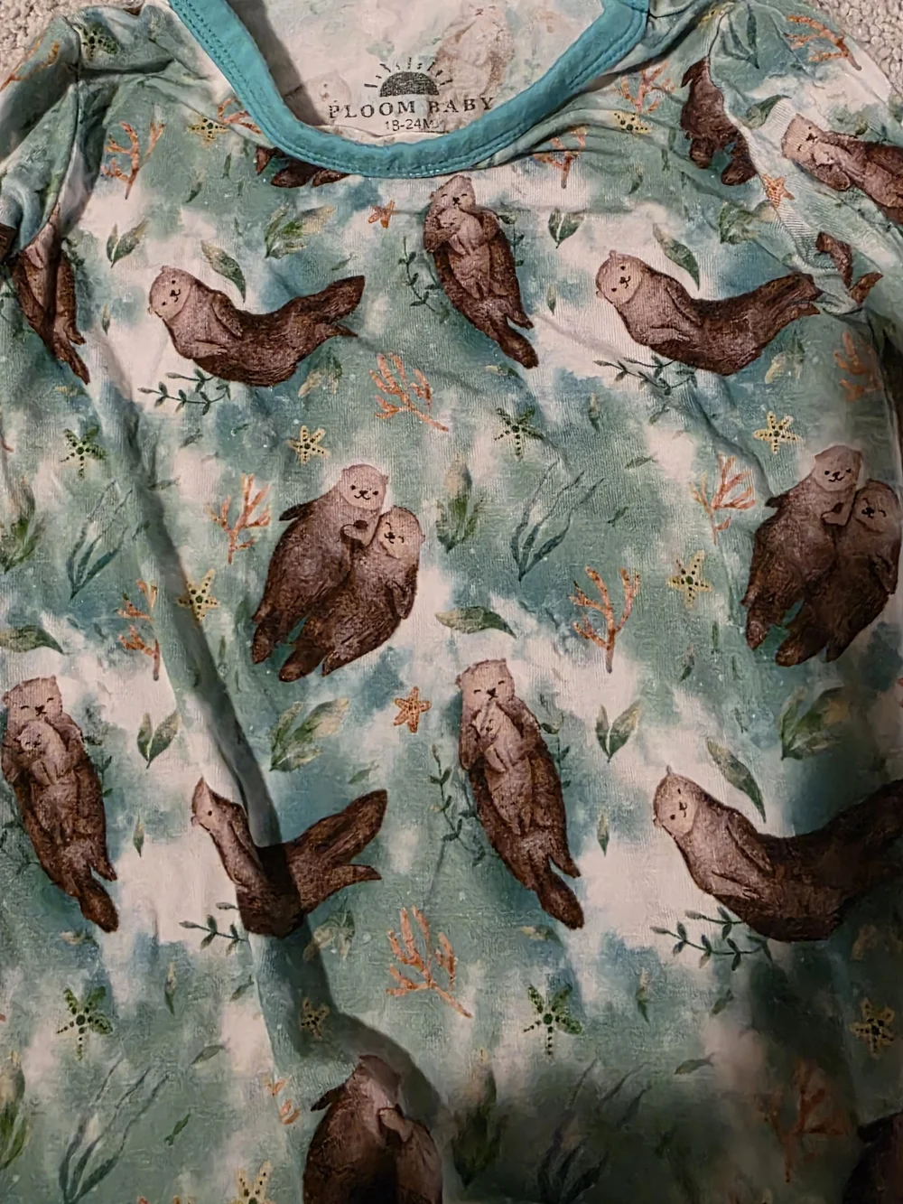 Ploom Baby Otter Pj 2 piece long sleeve Set